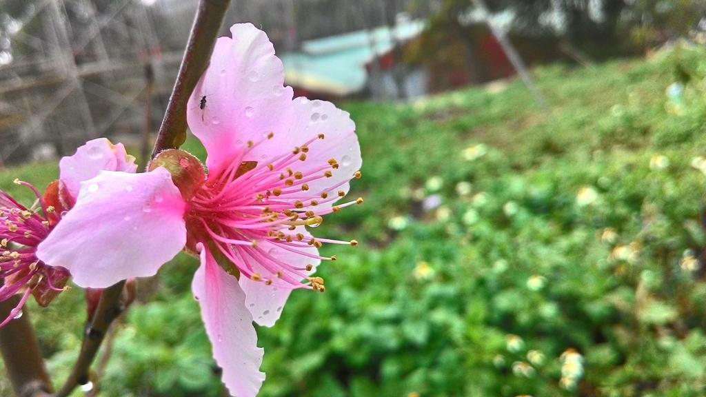 Fully B&B Puli Ngoại thất bức ảnh